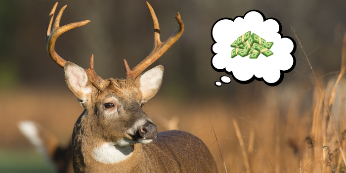 A buck (deer) thinking about a buck (money)