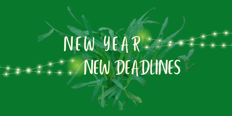 Graphic saying "new year, new deadlines"